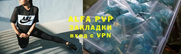 амф Алексин