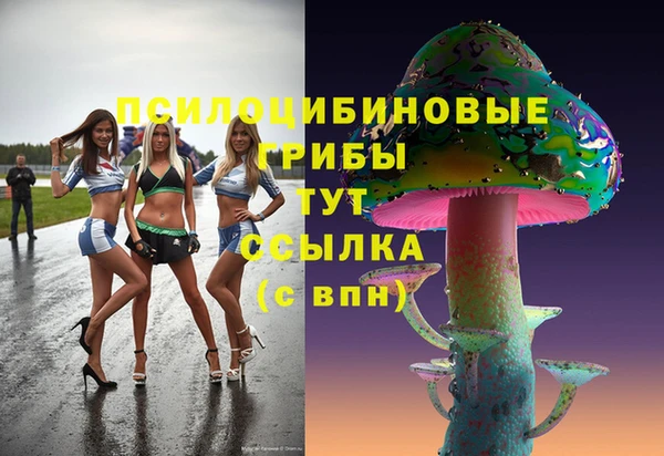 амф Алексин