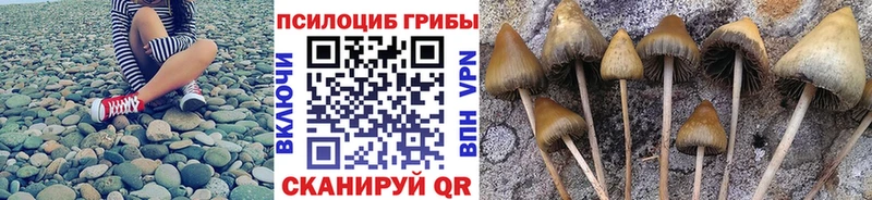 гидра зеркало  Бикин  Псилоцибиновые грибы Magic Shrooms 